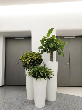 �����̻�ֲ������